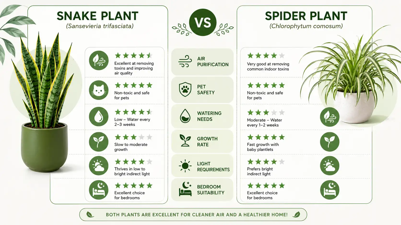 10 benefits of snake plant