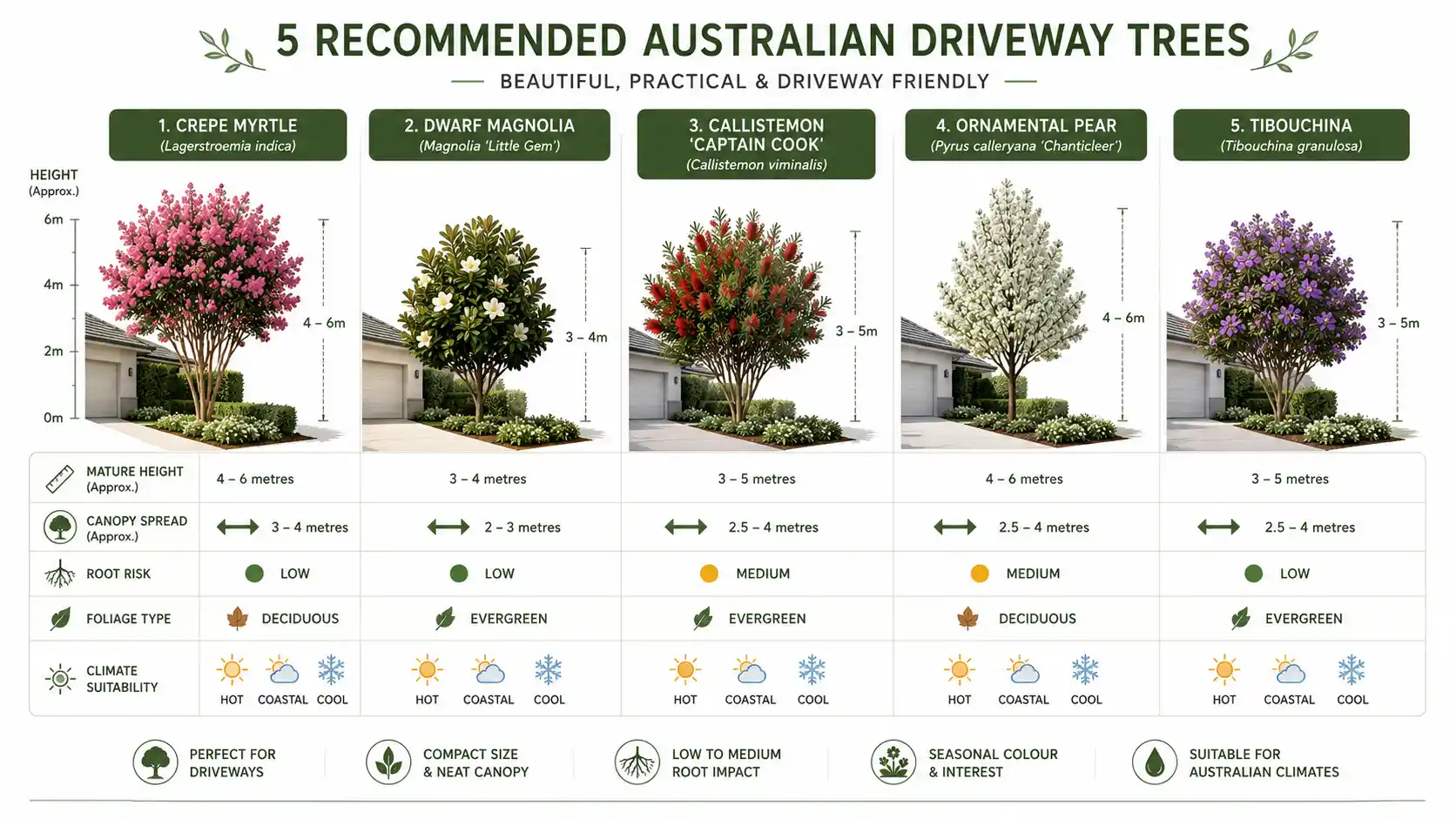 driveway plants ideas