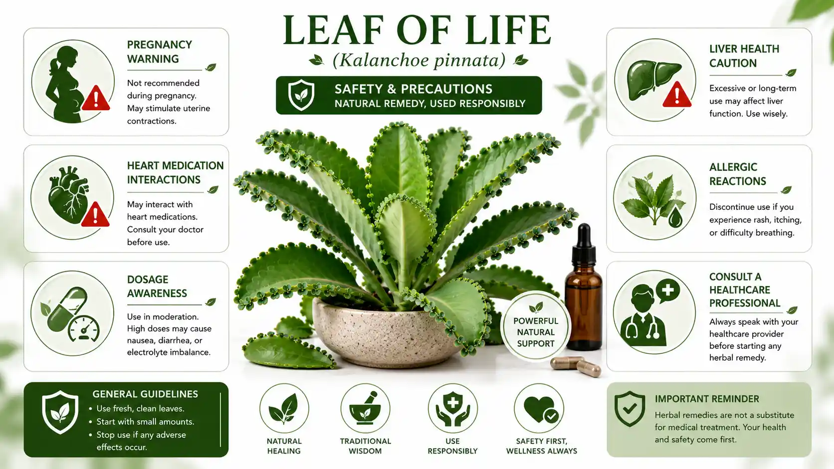 leaf of life plant benefits