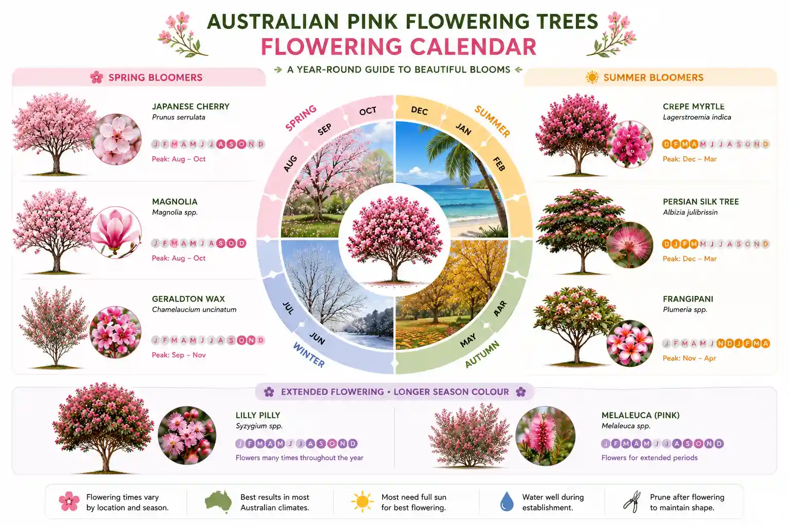 tree with pink flowers australia