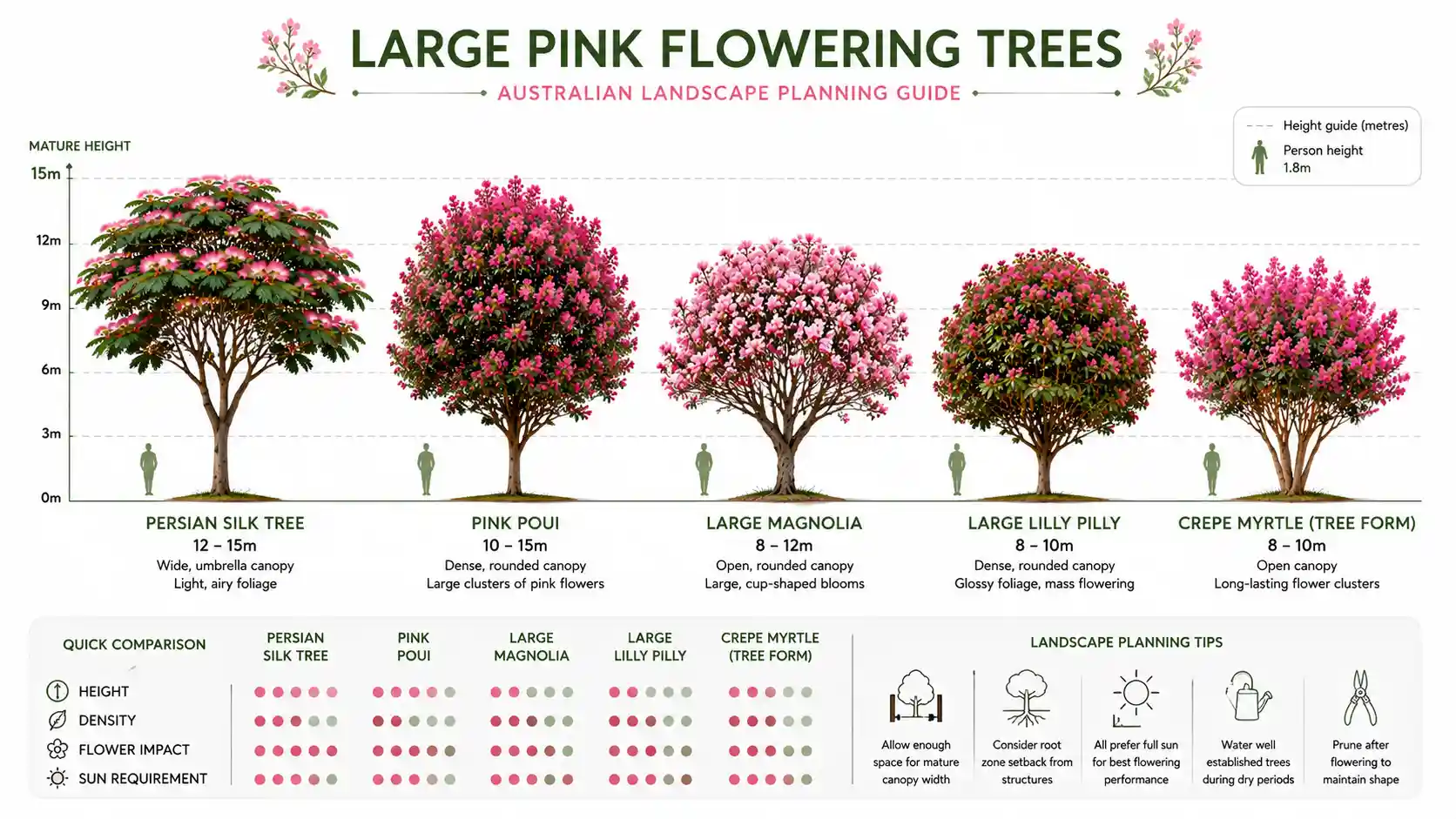 tree with pink flowers australia