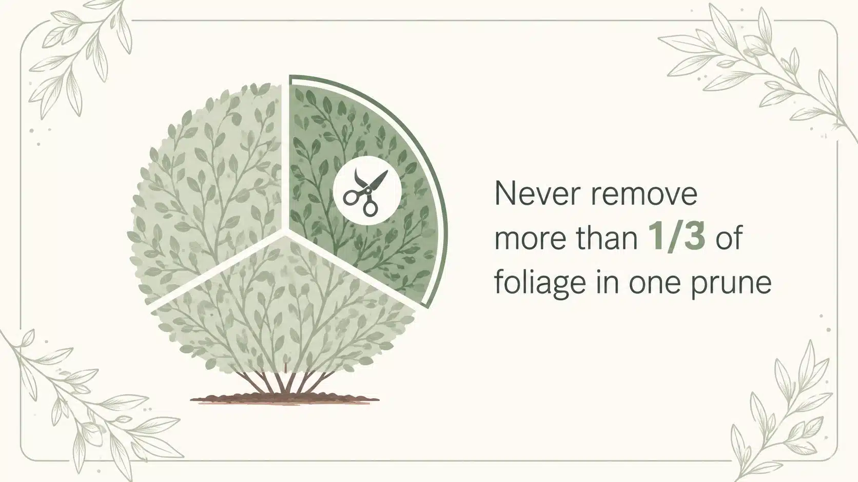 pruning and maintenance