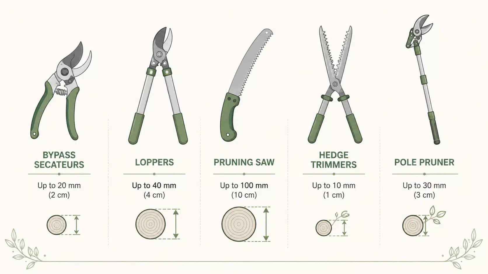 pruning and maintenance