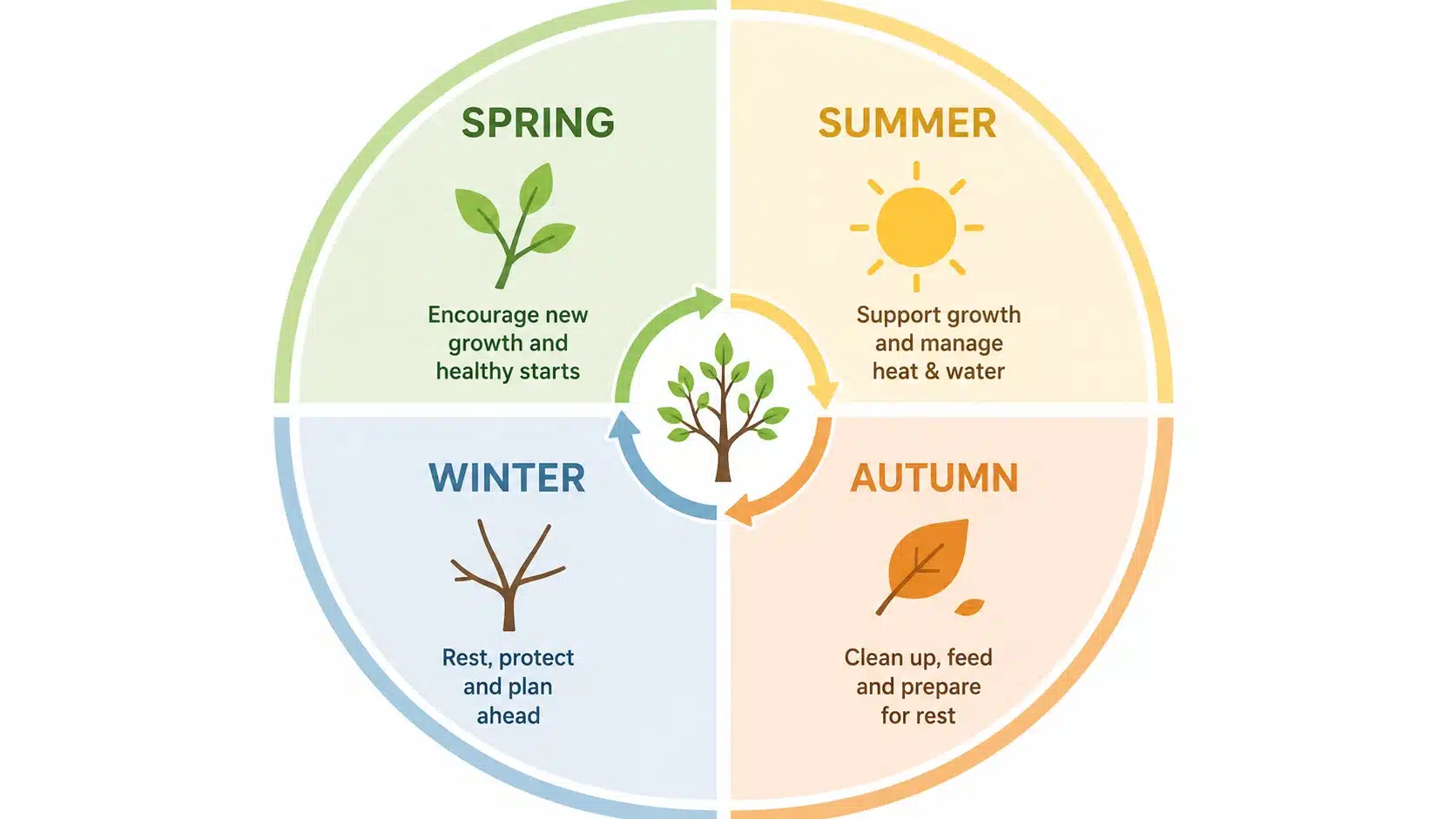 pruning and maintenance