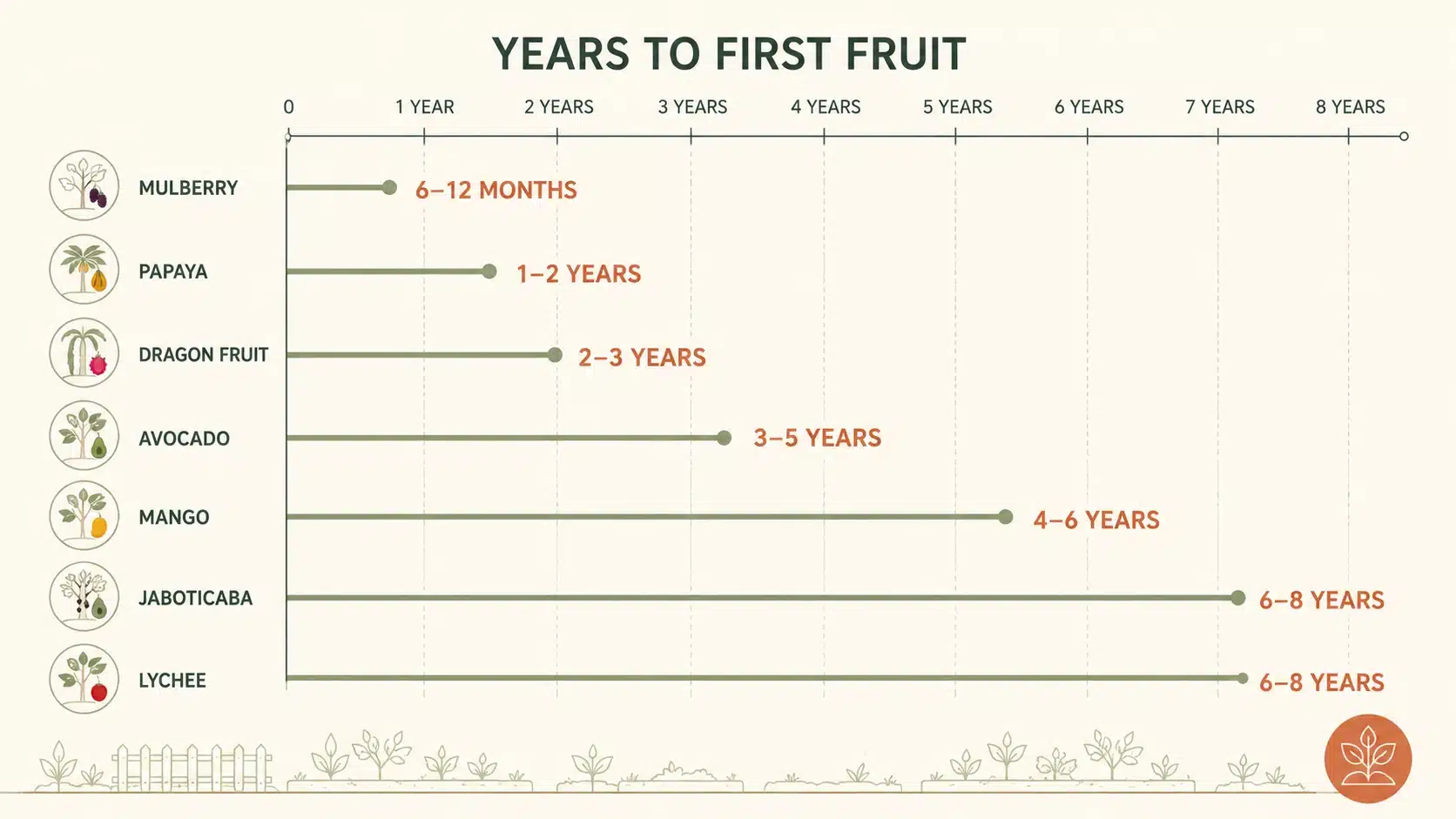 tropical fruit trees for brisbane backyard