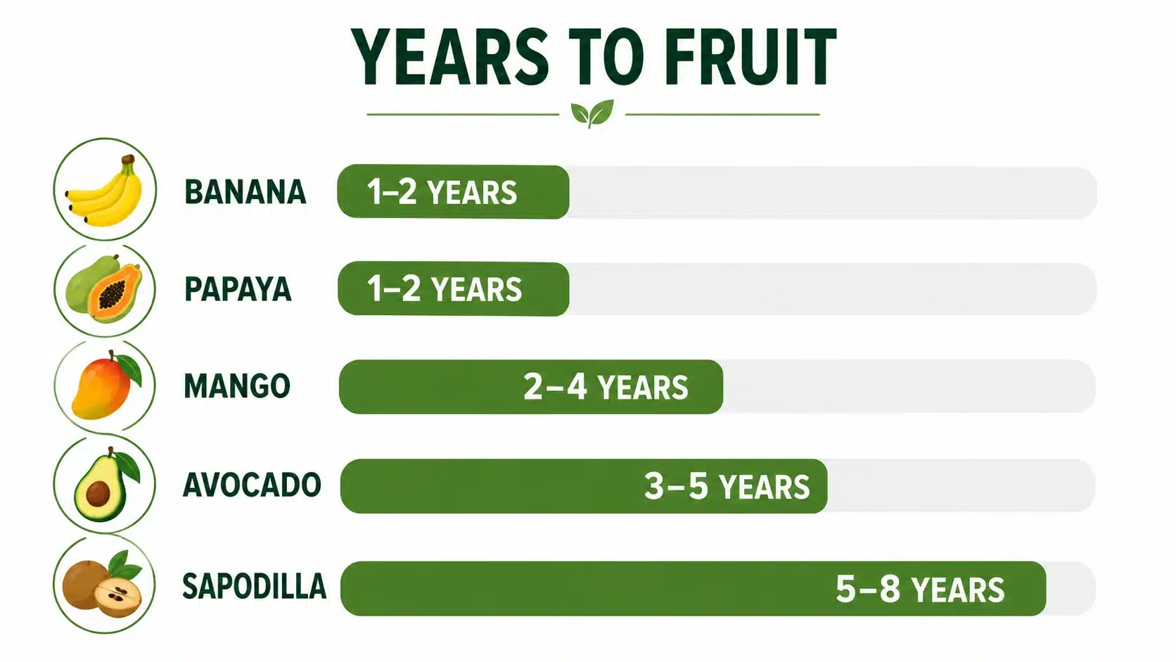 tropical fruits