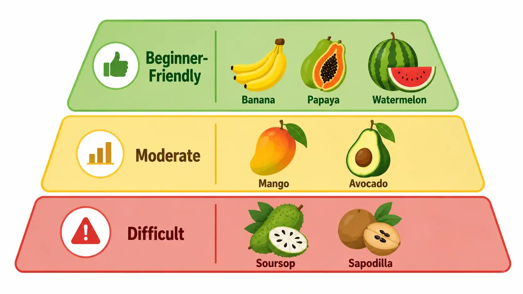 tropical fruits