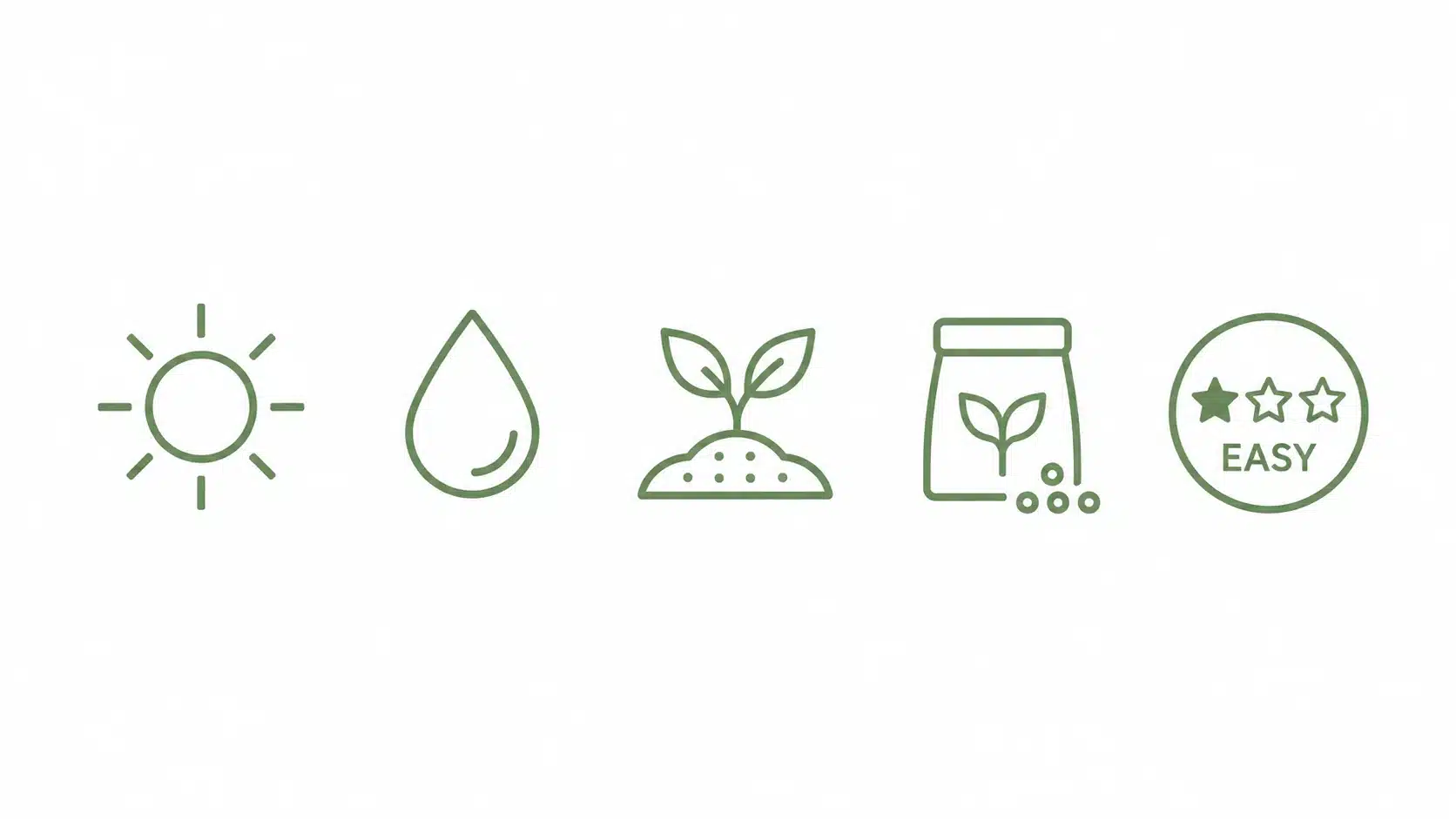 best air purifying plants australia
