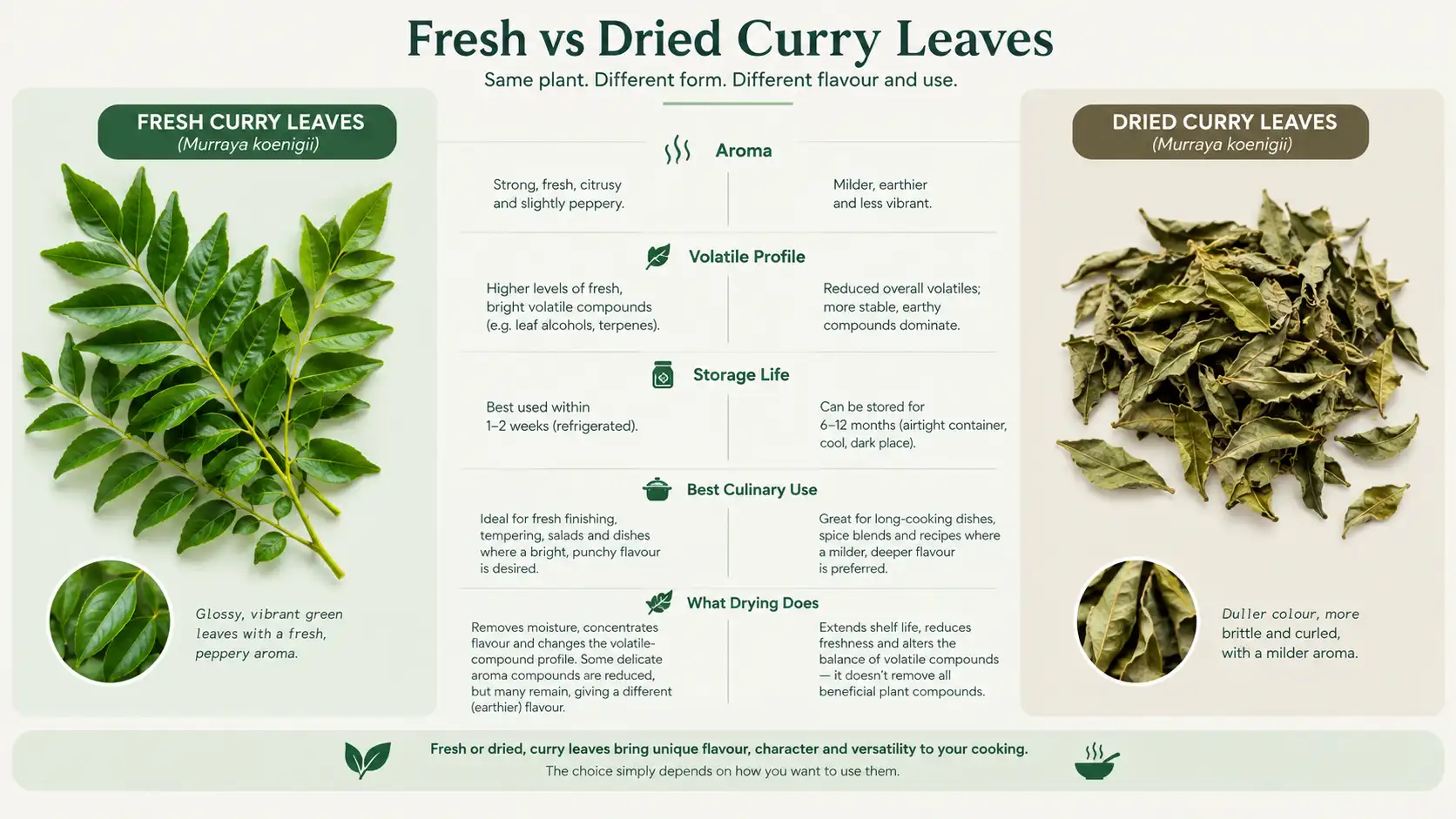curry leaf benefits