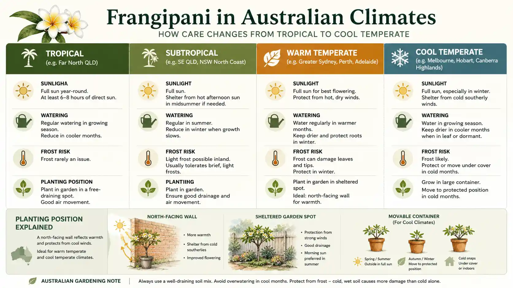 frangipani tree care australia