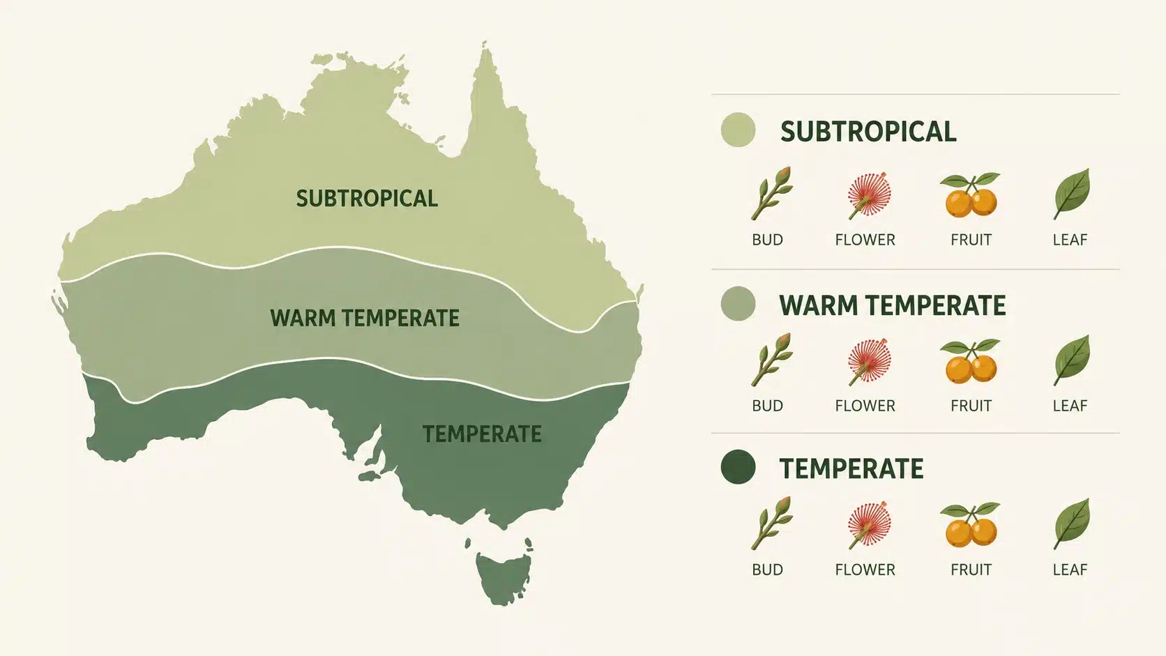 fruit tree fertilizer schedule