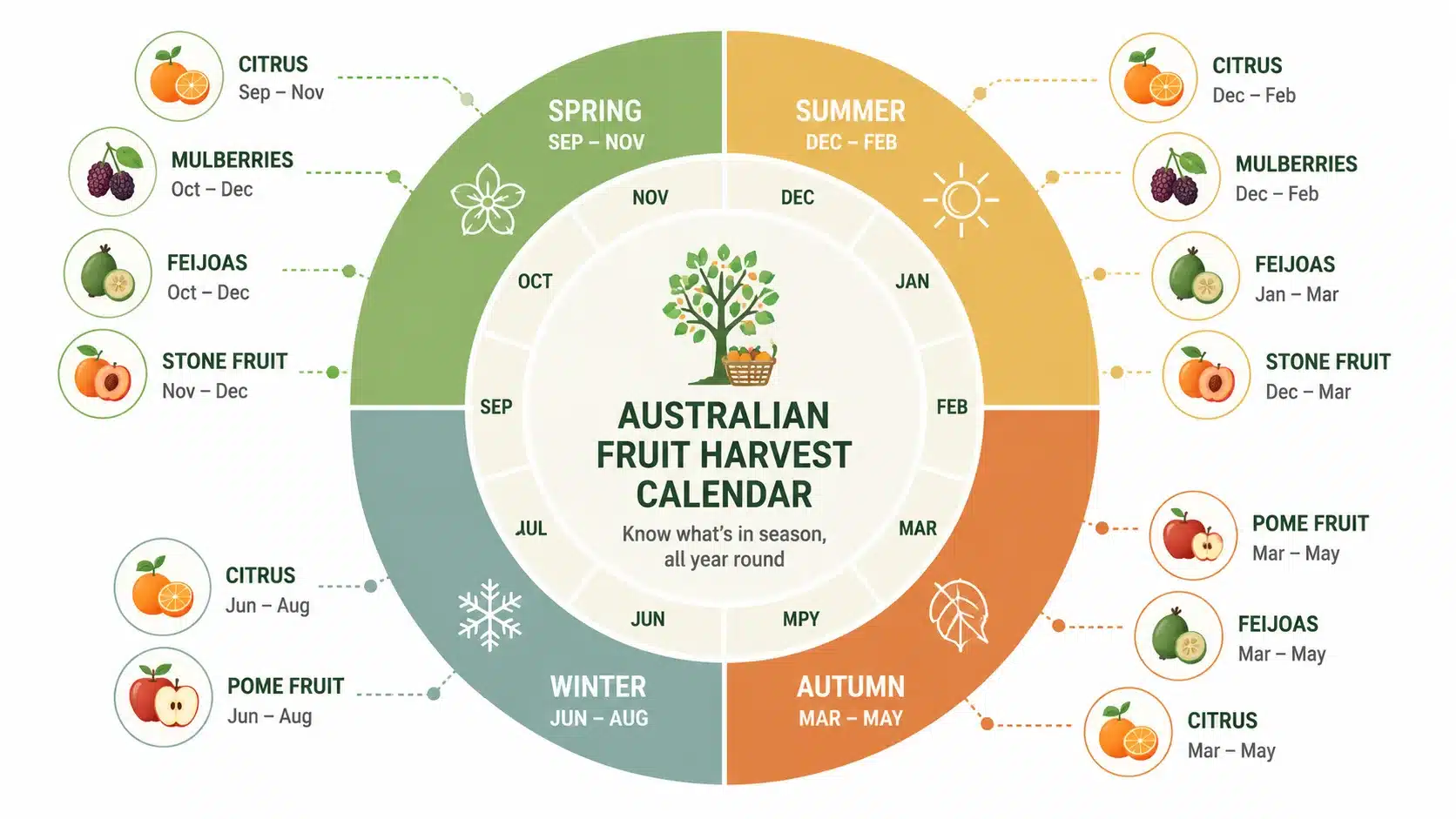 fruit tree harvest and fruiting guide australia