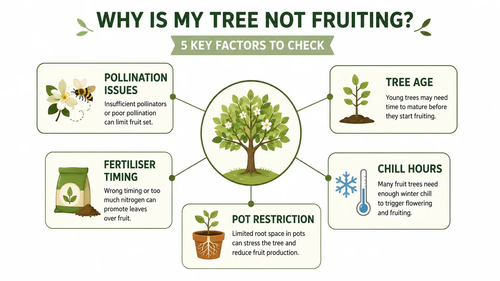 fruit tree harvest and fruiting guide australia