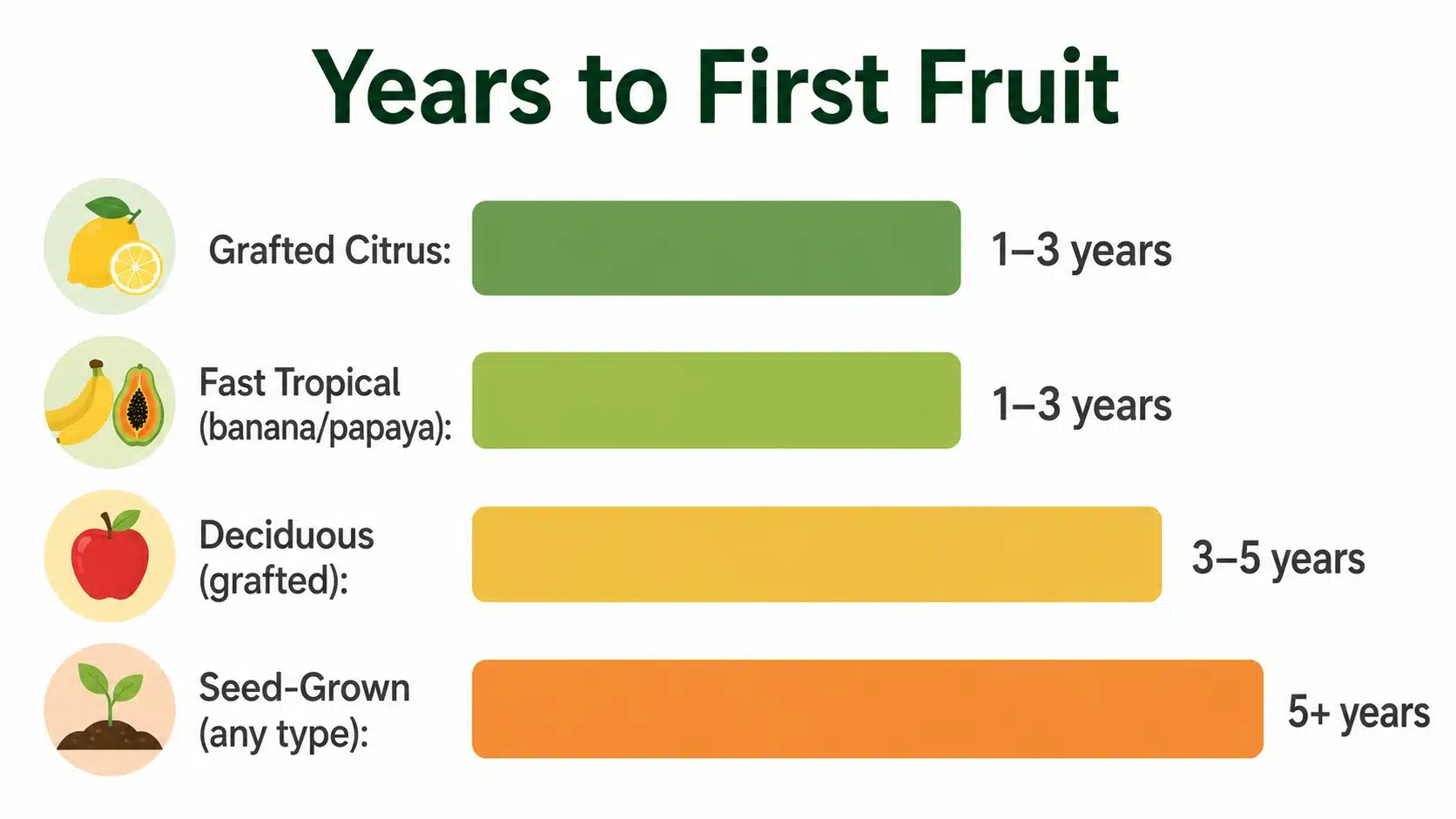 fruit trees and tropical plants