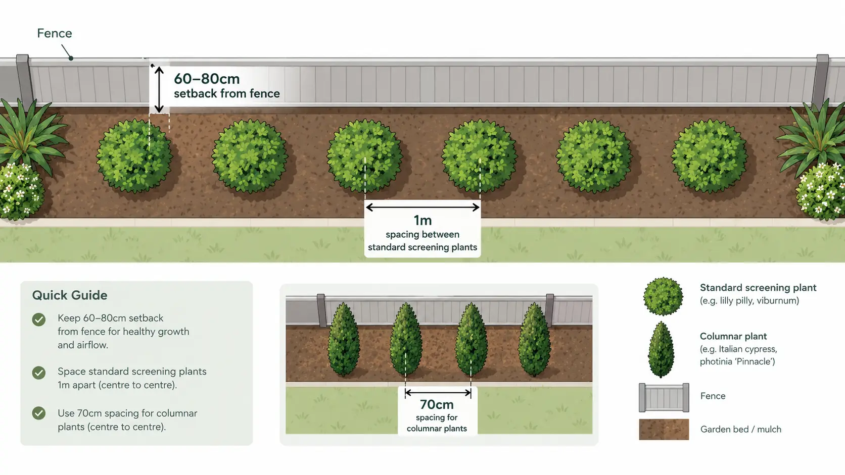 hedge and screening plants