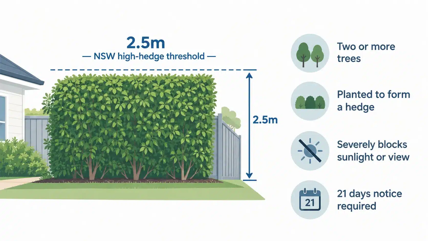 hedge and screening plants