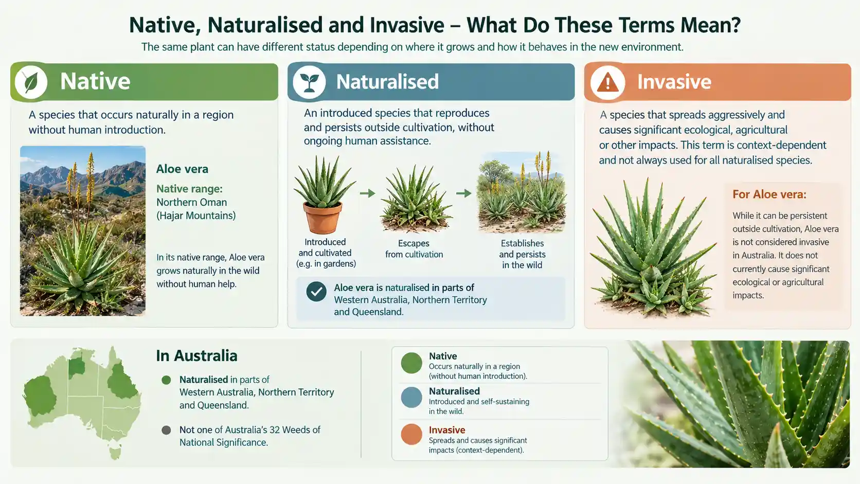 is aloe vera native to australia