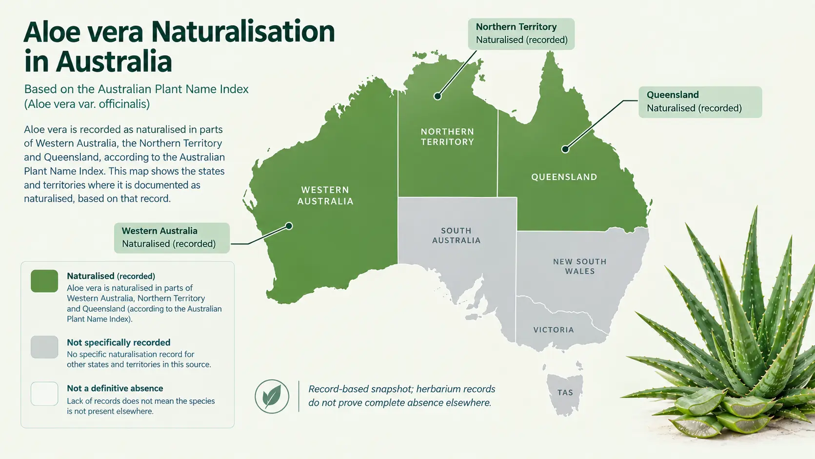 is aloe vera native to australia