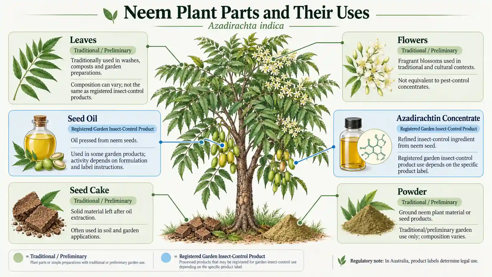 neem plant benefits