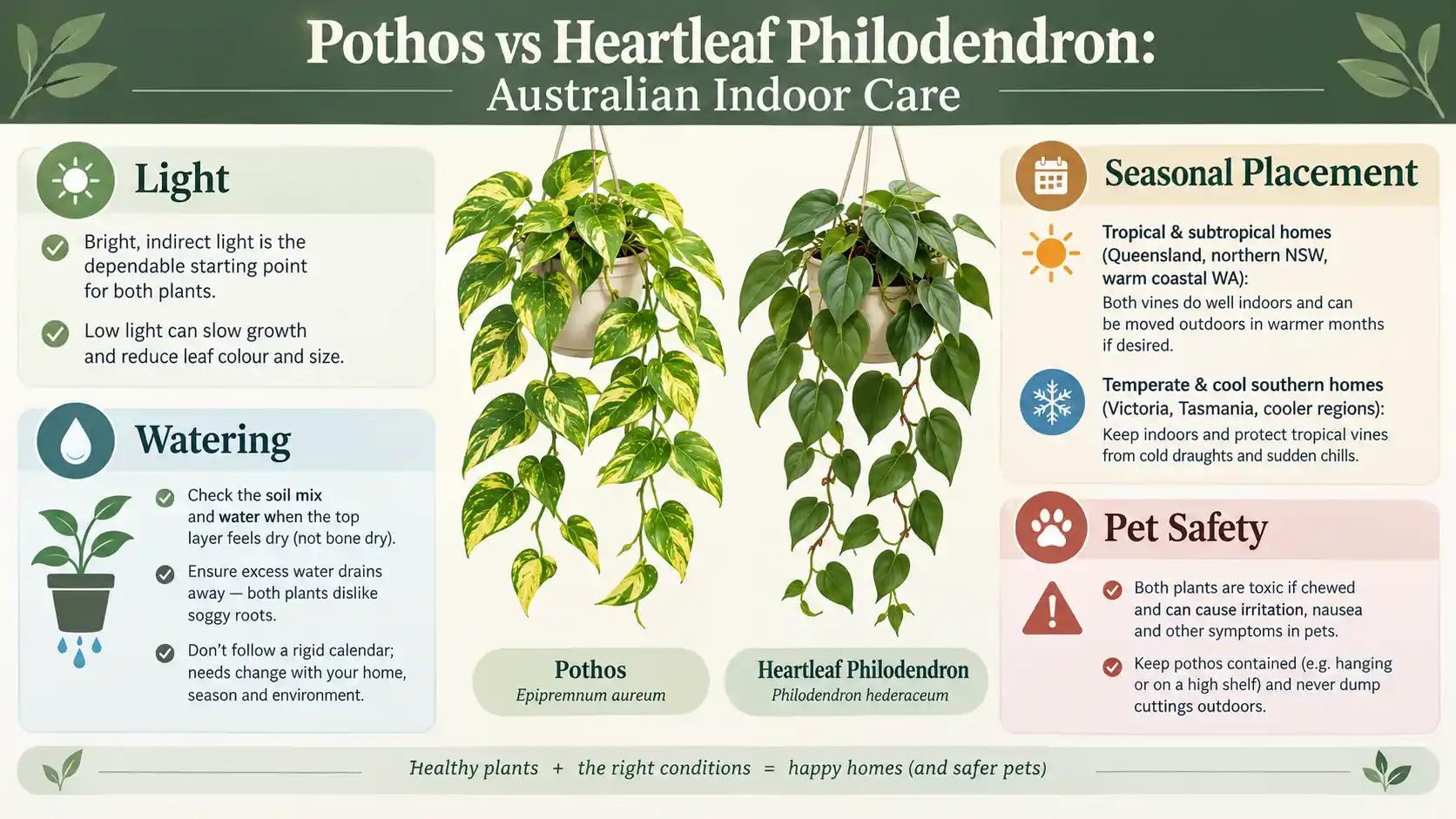 pothos vs philodendron