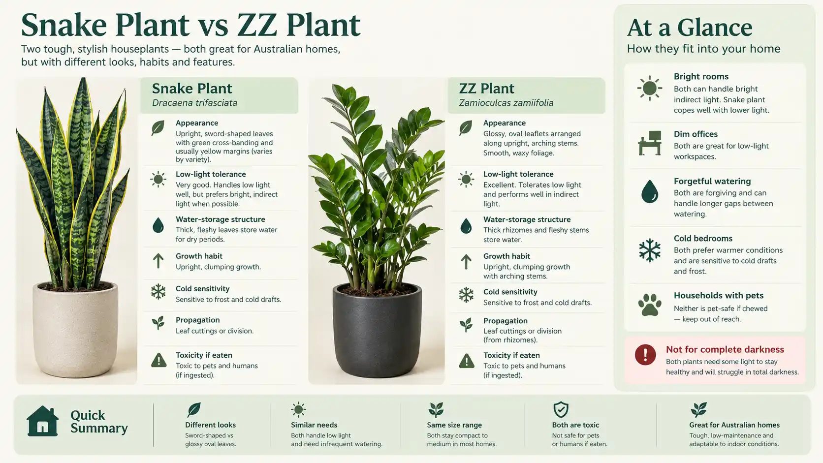 snake plant vs zz plant