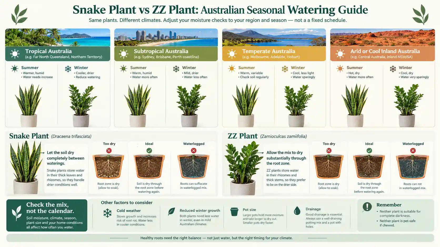 snake plant vs zz plant