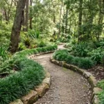 mondo grass garden