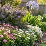 flowers and blooms